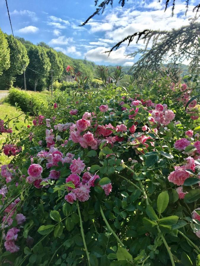 La Provencale B&B Duravel Bagian luar foto